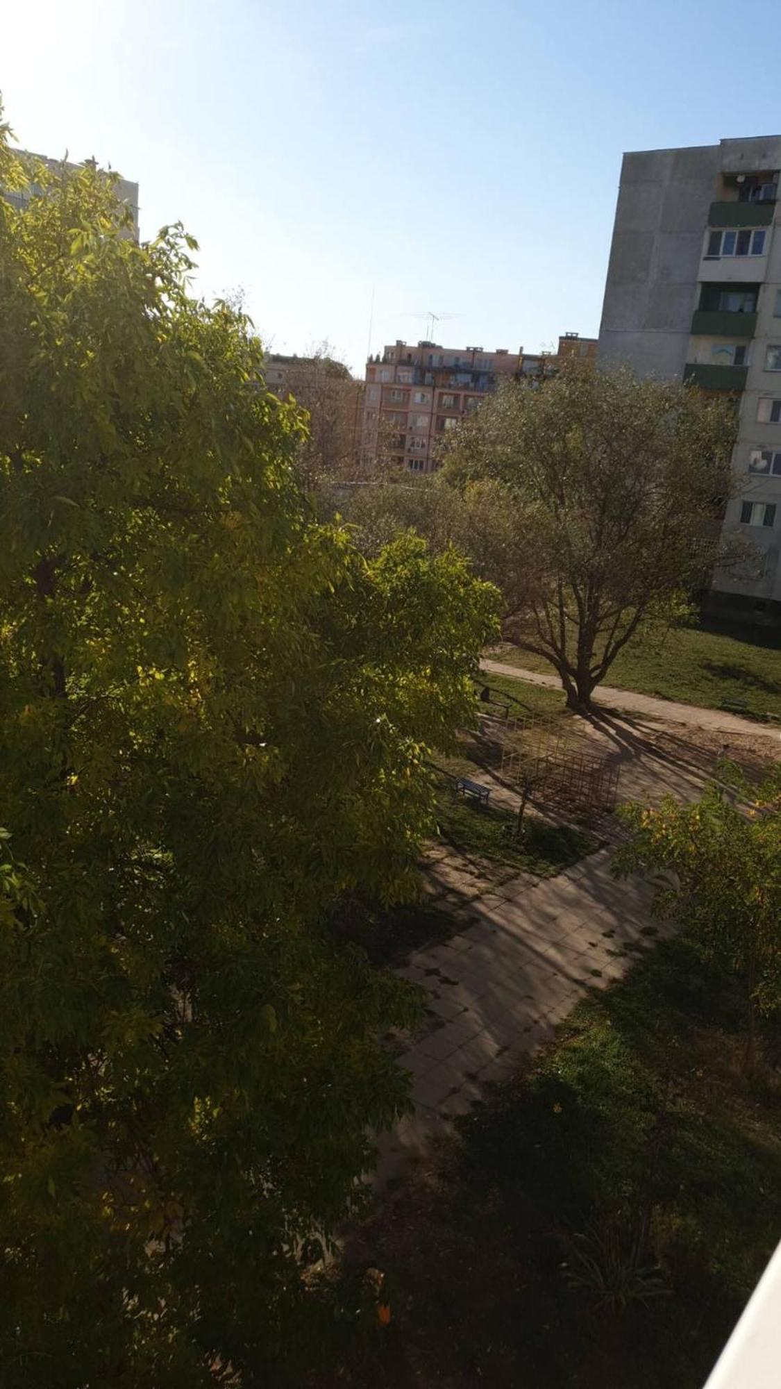 Sunny And Charming Domain For Your In Sofia