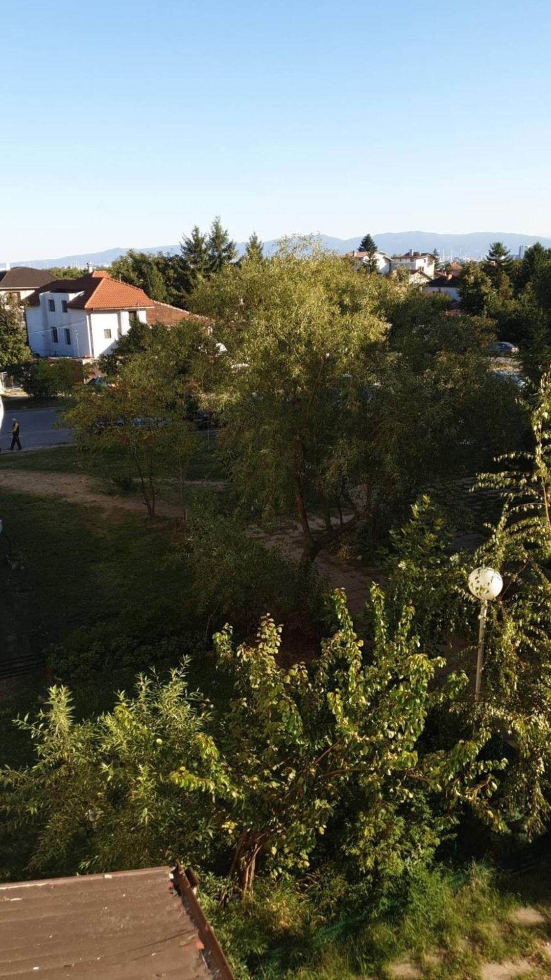 Sunny And Charming Domain For Your In * Sofia